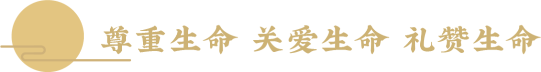 径山竹茶园 (3).png