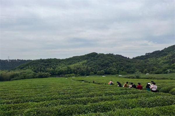 泰康生命关怀解决方案：全面照护，守护生命的最后一程 (1).jpg