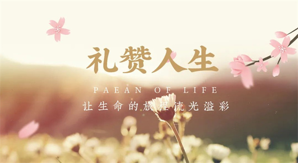 径山竹茶园 (10).jpg