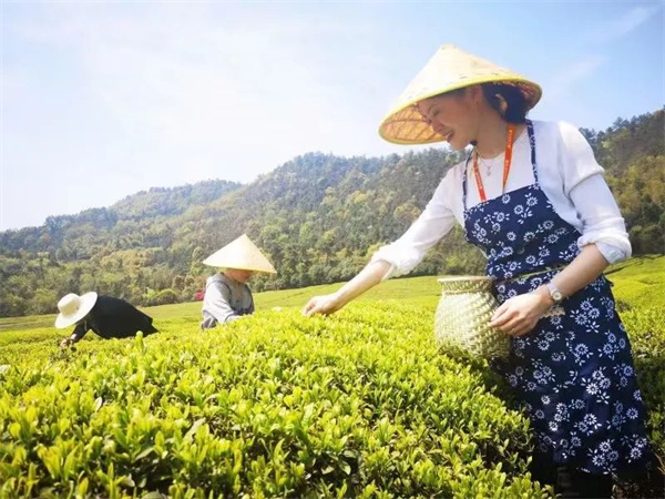 径山竹茶园 (4).jpg