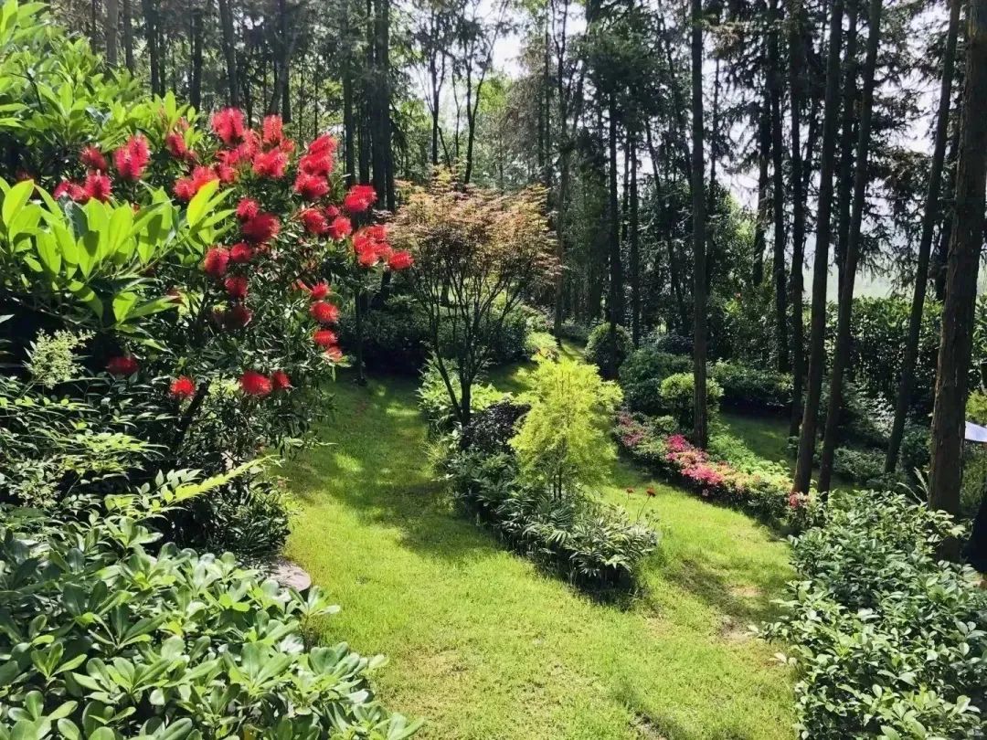 树葬、花葬墓区：溪岸桂语