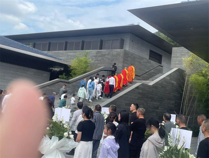 案例展示一