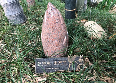 雅竹清趣