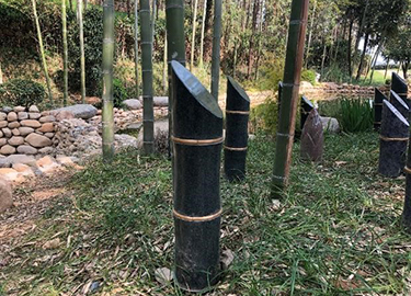 傲然挺立