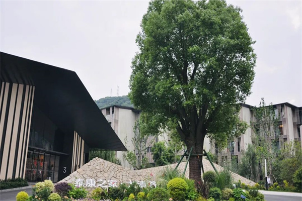 杭州泰康大清谷医院